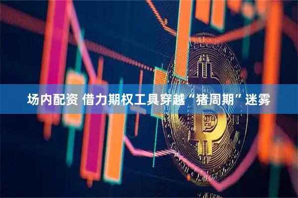 场内配资 借力期权工具穿越“猪周期”迷雾